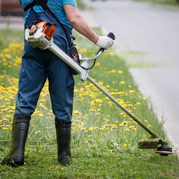 Gartengestaltung & Gartenpflege